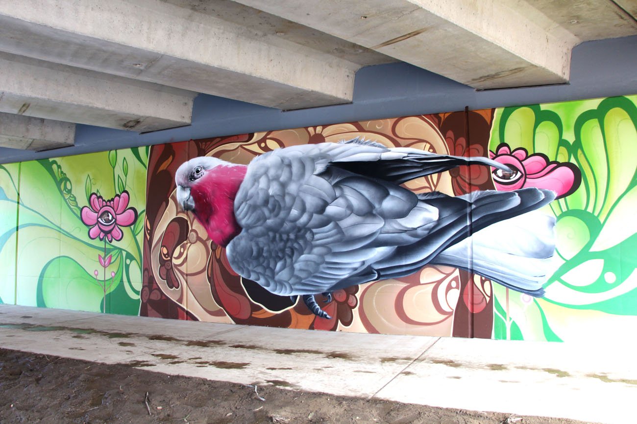 Galah mural by Lukas Kasper painted in Wodonga