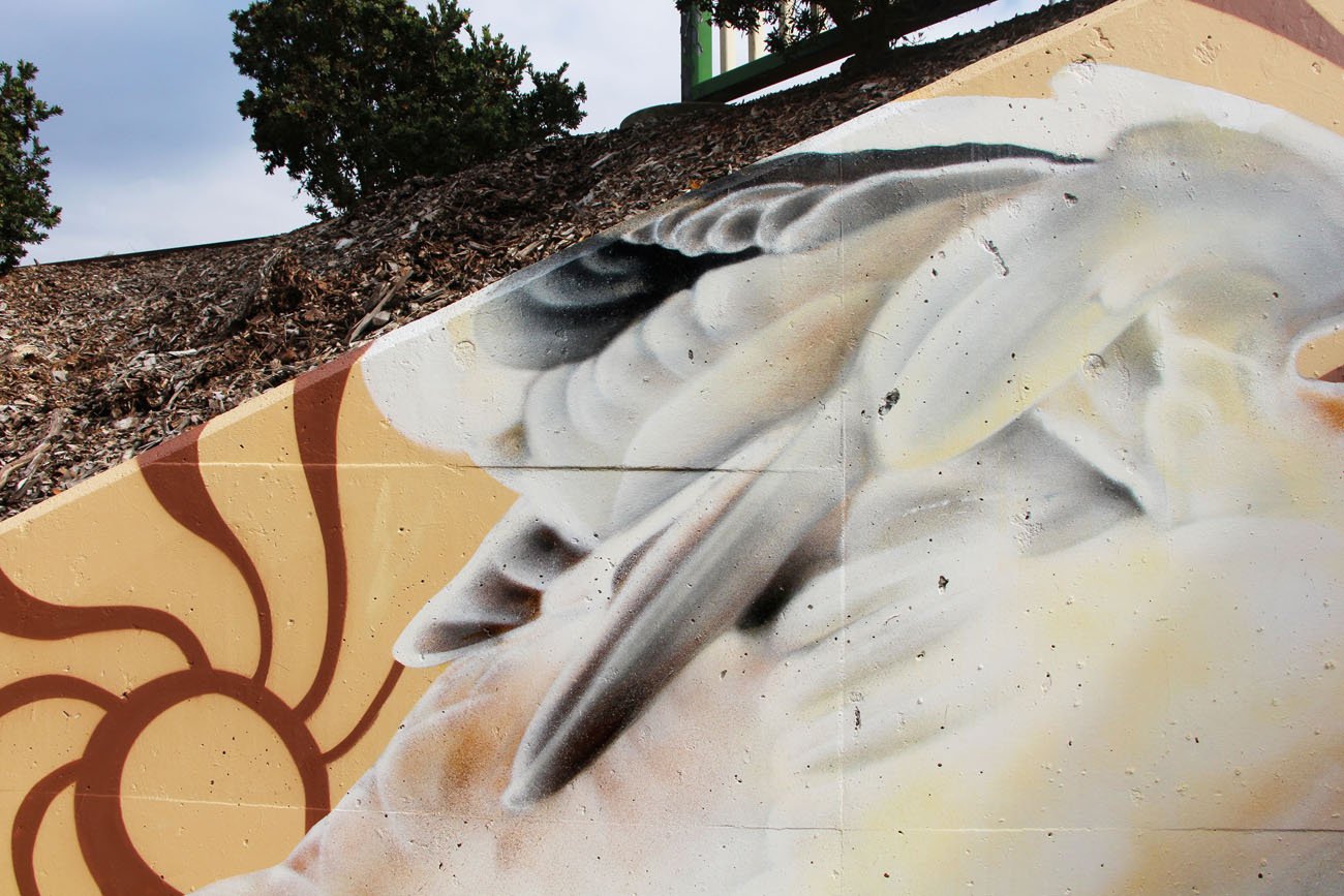 Pond Pals Underpass Mural In Wodonga