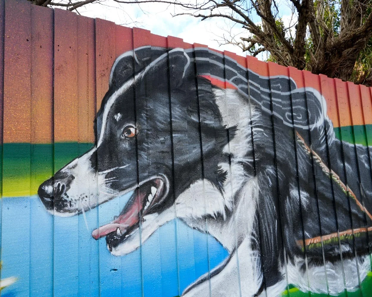 Sydenham Basin Reserve dog park mural by Melbourne mural artist Lukas Kasper for Brimbank City Council, featuring local flora, waterways, and neighborhood dogs.