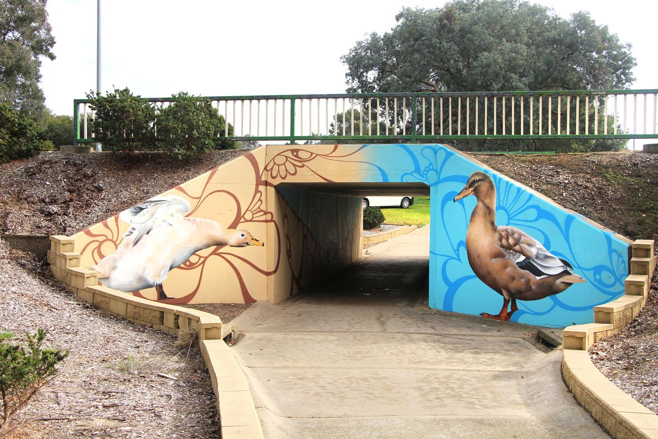 Pond Pals Underpass Mural In Wodonga