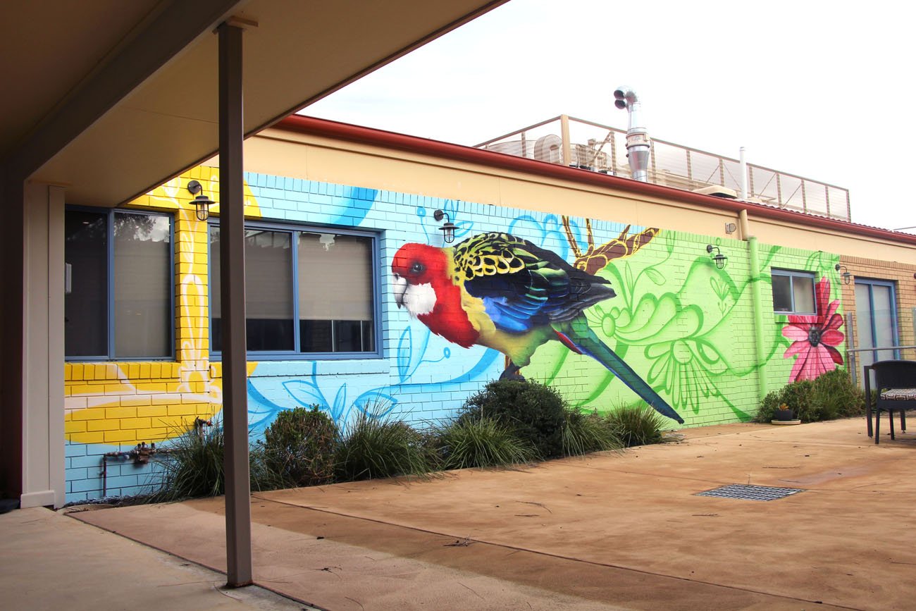 Aged Care Facility Mural in Albury