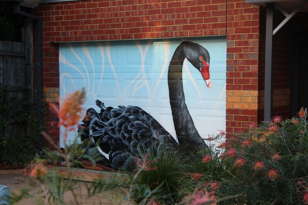 Black Swan Mural on Residential Garage Door in Melbourne