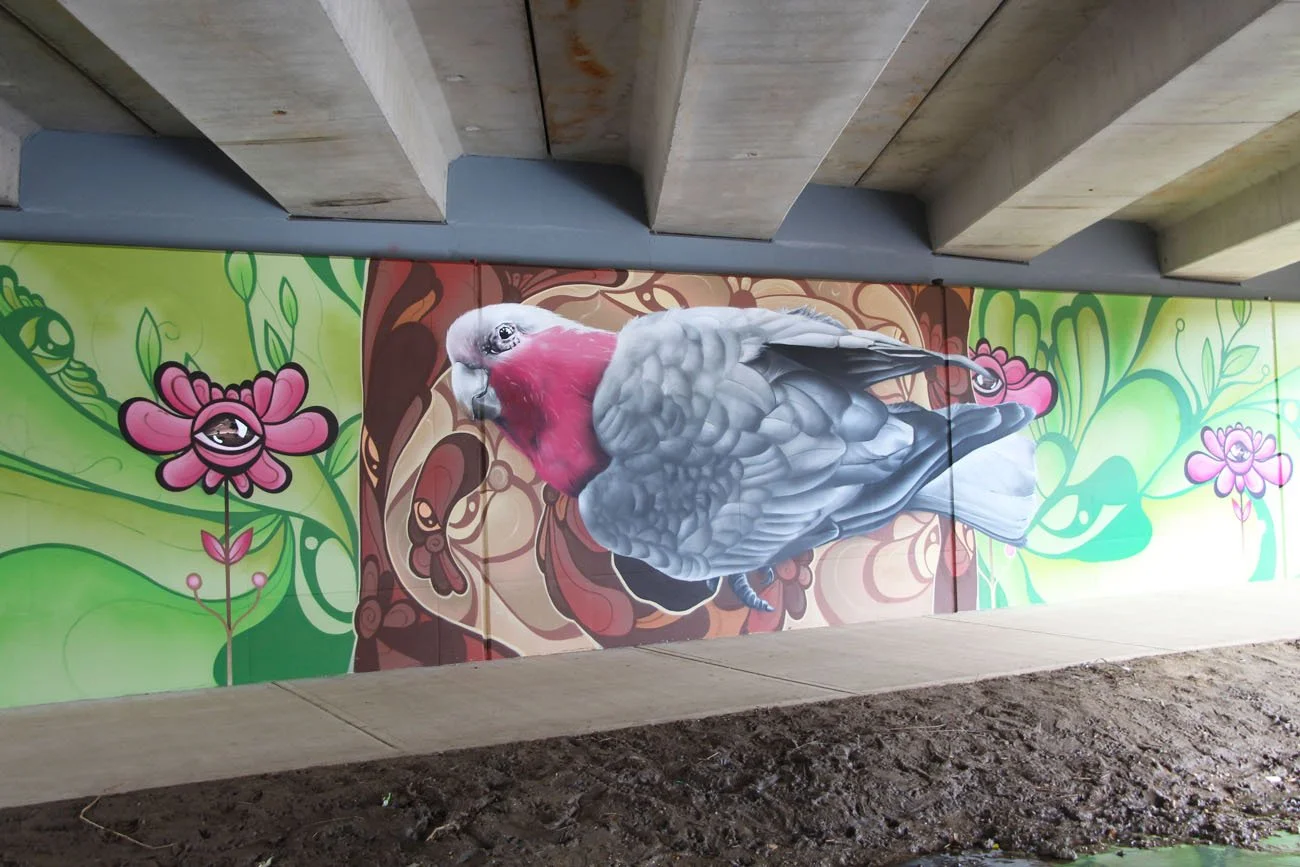 Melbourne Mural Artist and Street Artist Lukas Kasper