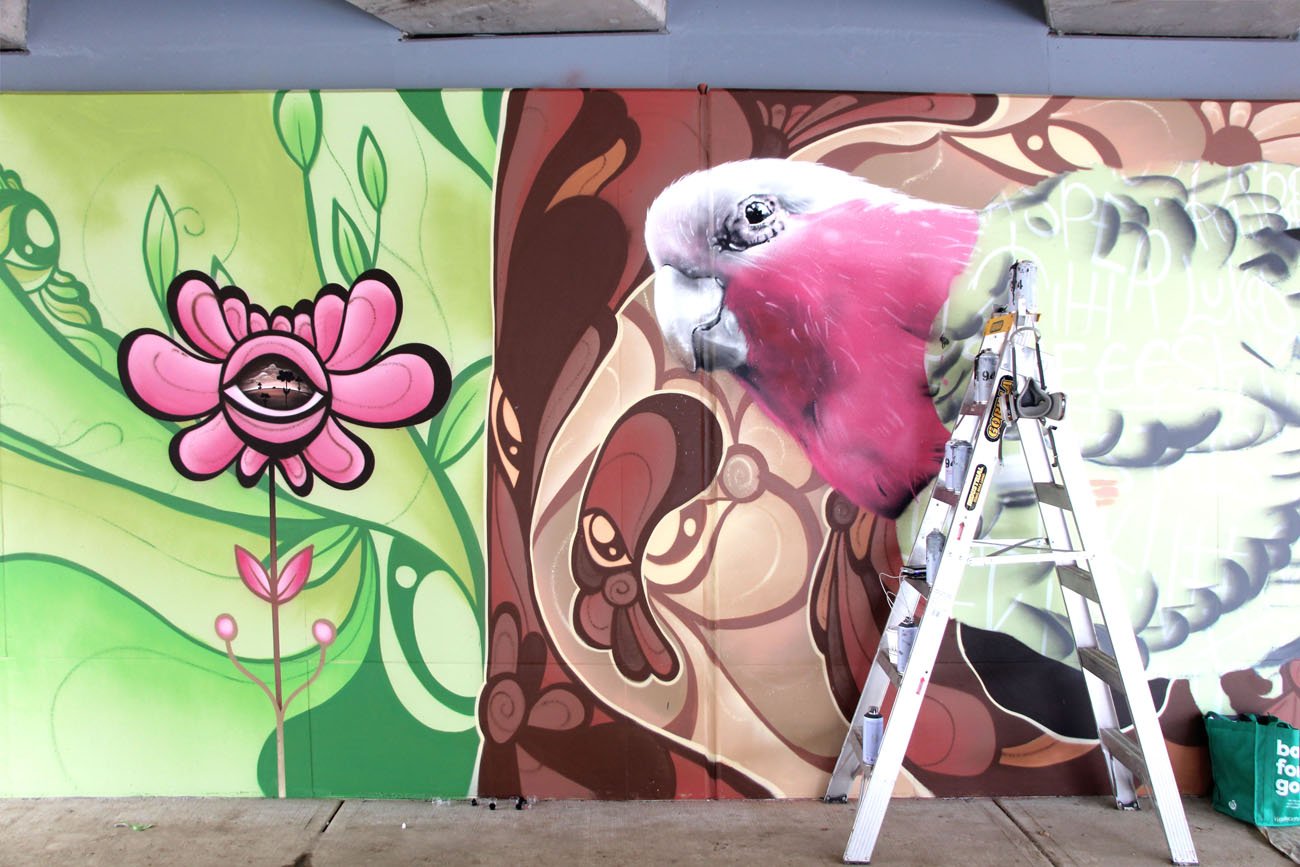 Galah mural by Lukas Kasper painted in Wodonga