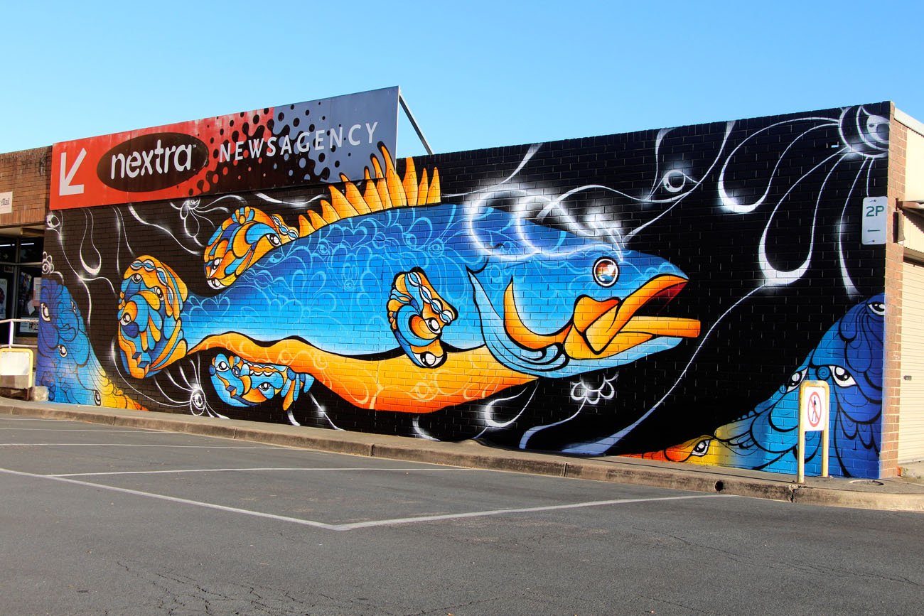 Murray Cod Mural painted in Albury Wodonga on Mahony's Newsagency