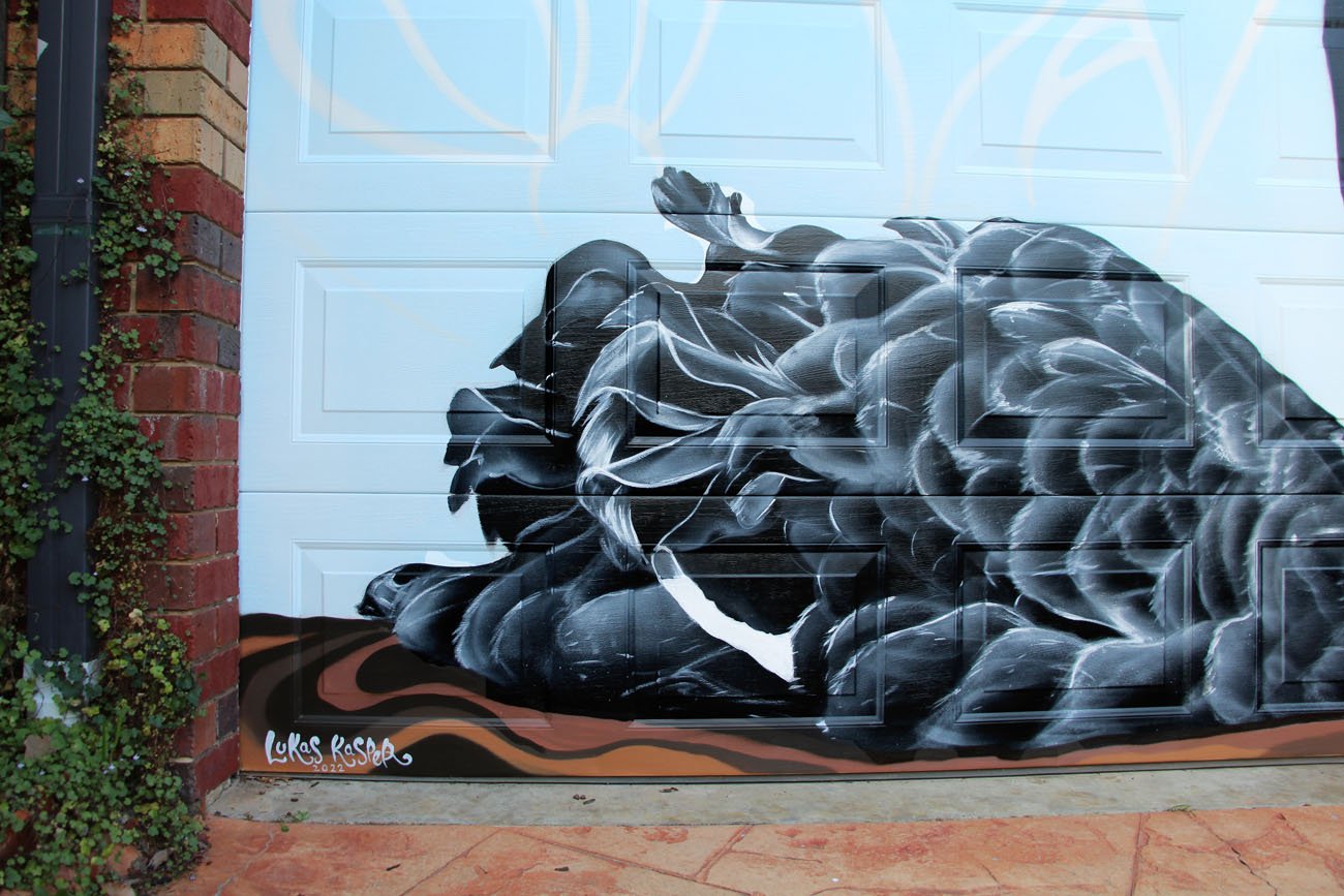 Black Swan Mural on Residential Garage Door in Melbourne