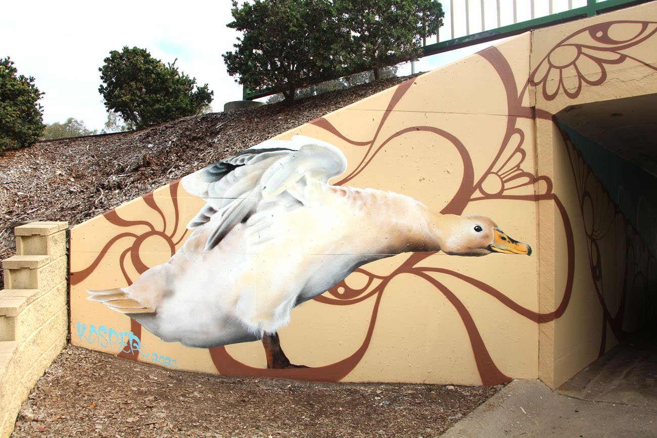 Pond Pals Underpass Mural In Wodonga