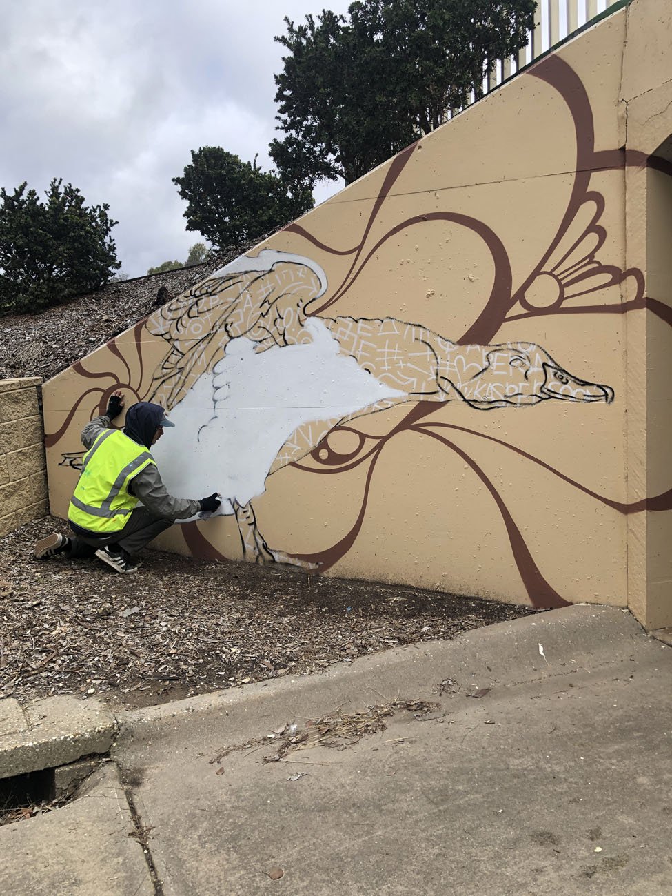 Pond Pals Underpass Mural In Wodonga