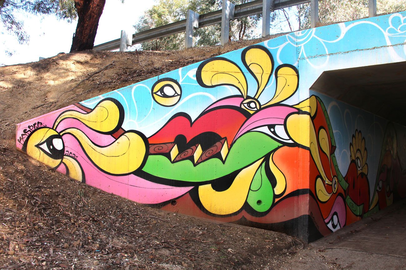 Fun In The Sun Underpass Mural in Baranduda