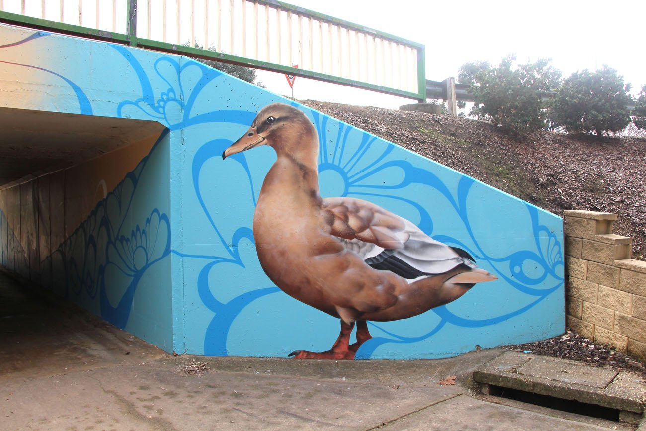 Pond Pals Underpass Mural In Wodonga