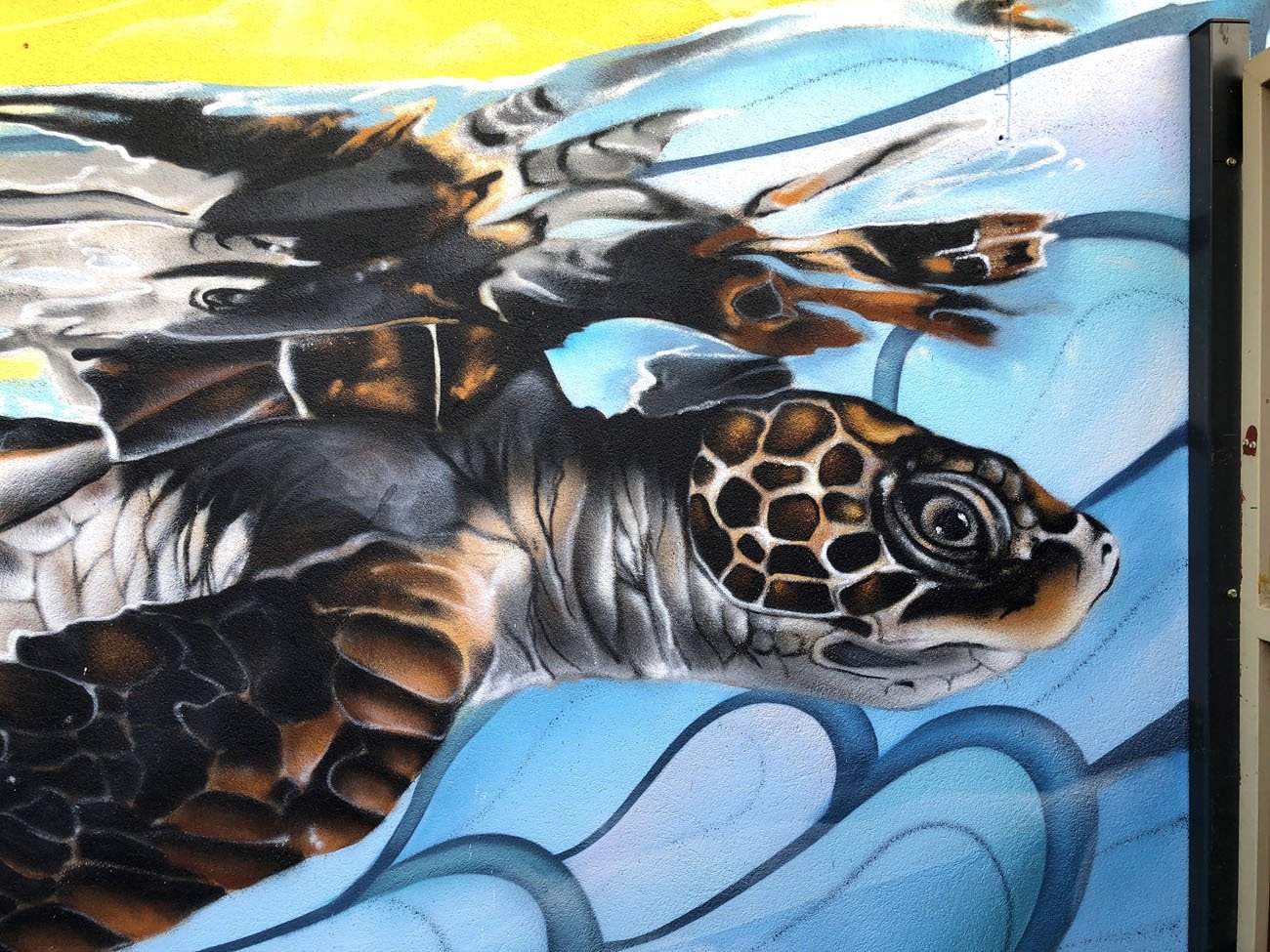Turtle mural painted by Lukas Kasper