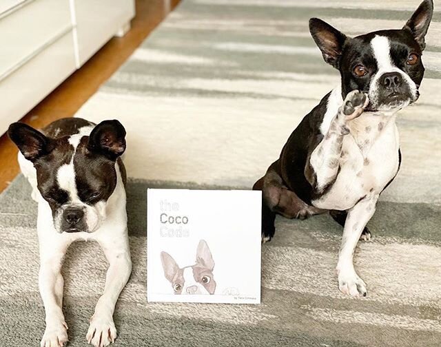 Need to go somewhere? Visit Maui &amp; Rio, our newest book club buddies! @maui_and_rio #thecococode #bookstagram #bostonterrier #bostonterriersofinstagram #cutedogs #bookclub #bookworm  #kidslit #picturebook