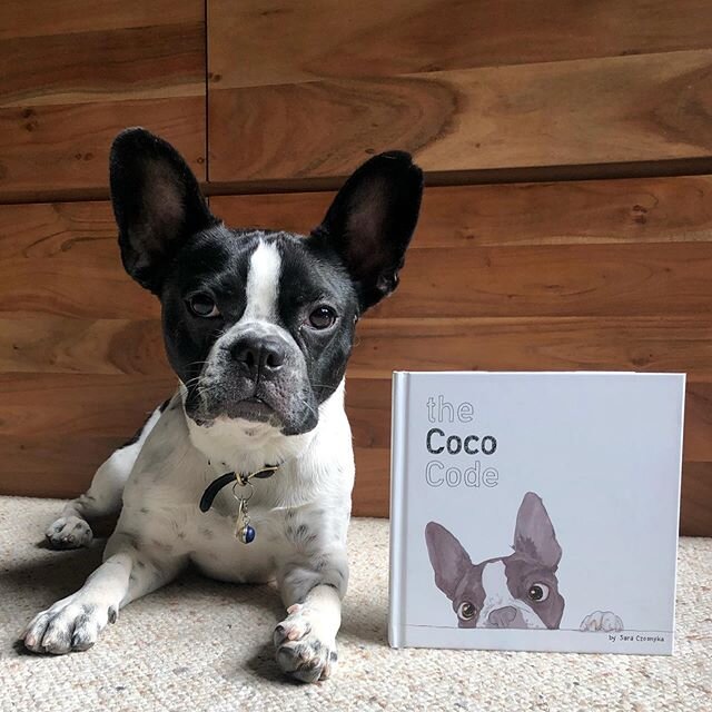 Of course Udo is our newest member of our book club!! 🐾🐼💕Lets Read! 📚  #thecococode #bostonterrier #read #reading #dog #book #dogsofinstagram #cute  #kidslit #picturebook #childrensbooks #bookworm #bostonterriersofinstagram #pawpawbostonterriers 