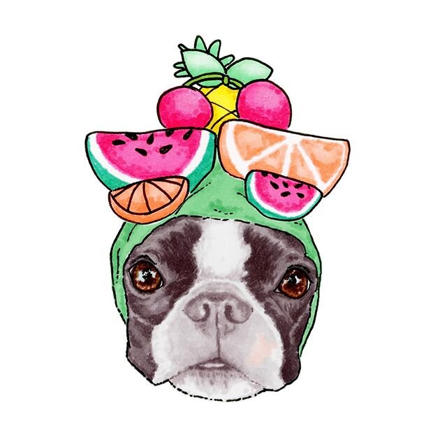 I. Can&rsquo;t. EVEN!! 🍉🙈🍒Our favorite little Olive modeled her festive fruit hat for us, with the request to draw her portrait so she could make STICKERS!! Check out her Etsy shop to grab this cutie while they last: &ldquo;OliveTheBoston&rdquo; o