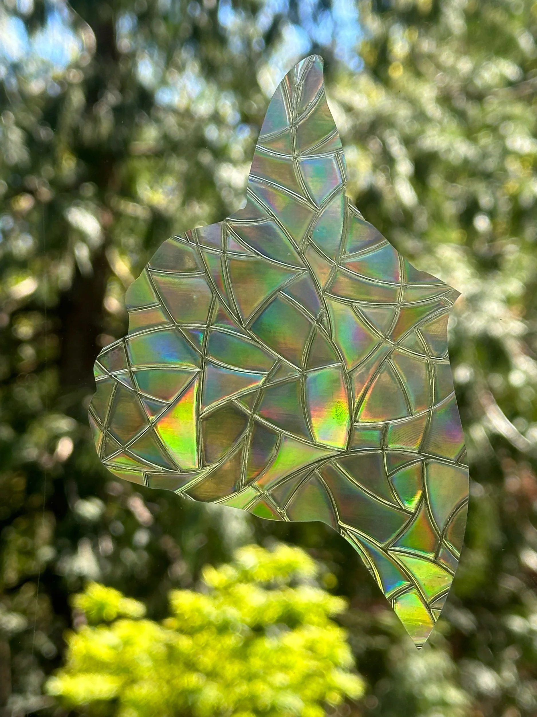 1F8B10F7-2940-4824-AADB-80D5271CD53C