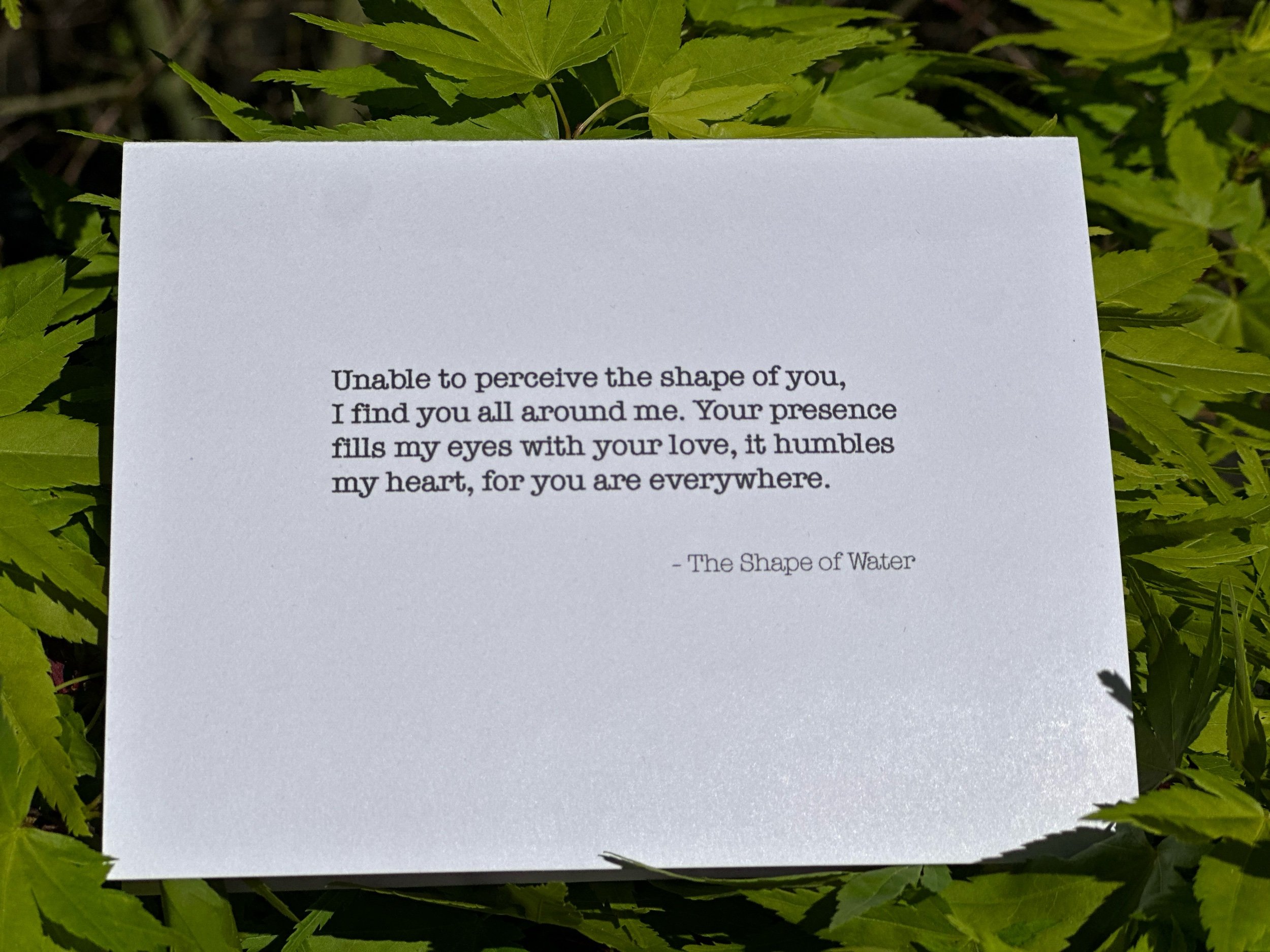 9C87AC1A-4E14-411E-8C3C-057C921A9790