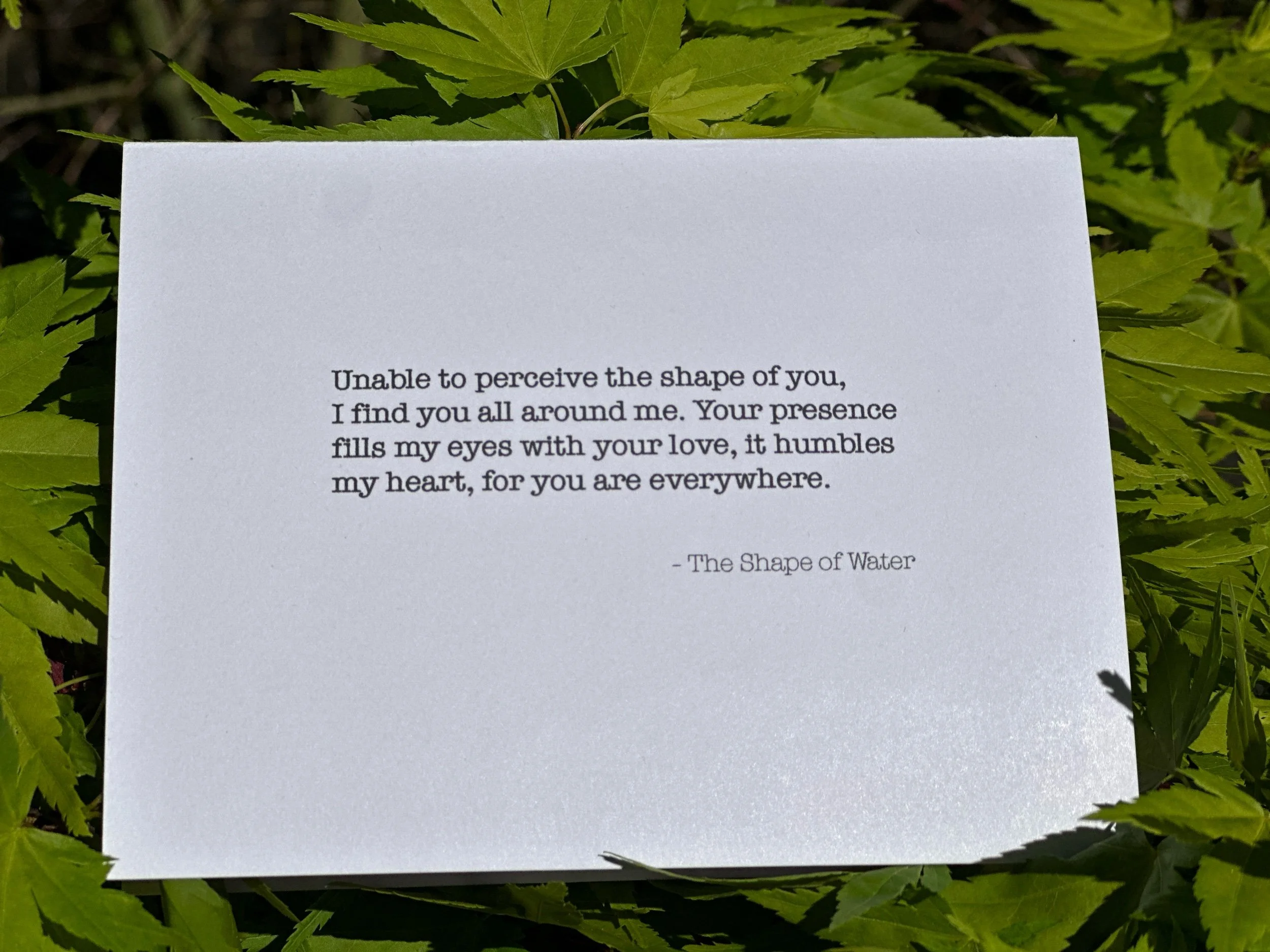 8AFEA7B2-CA65-462B-A877-F63DC89EB3E7