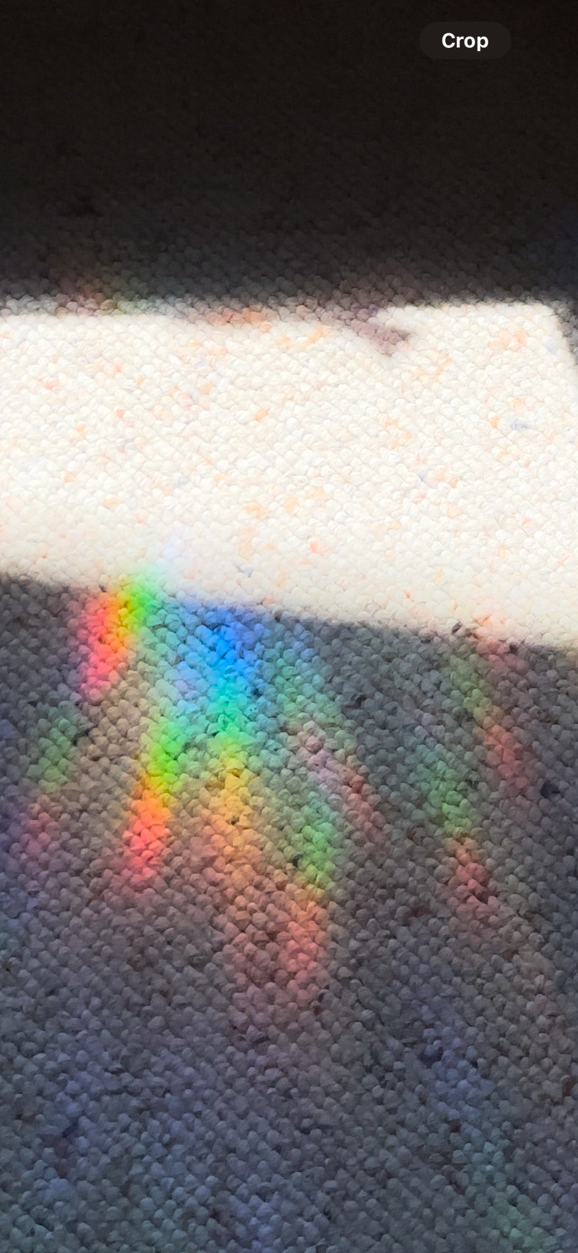 79A6797E-5A82-46F4-8A3C-8E3B7119BAF0