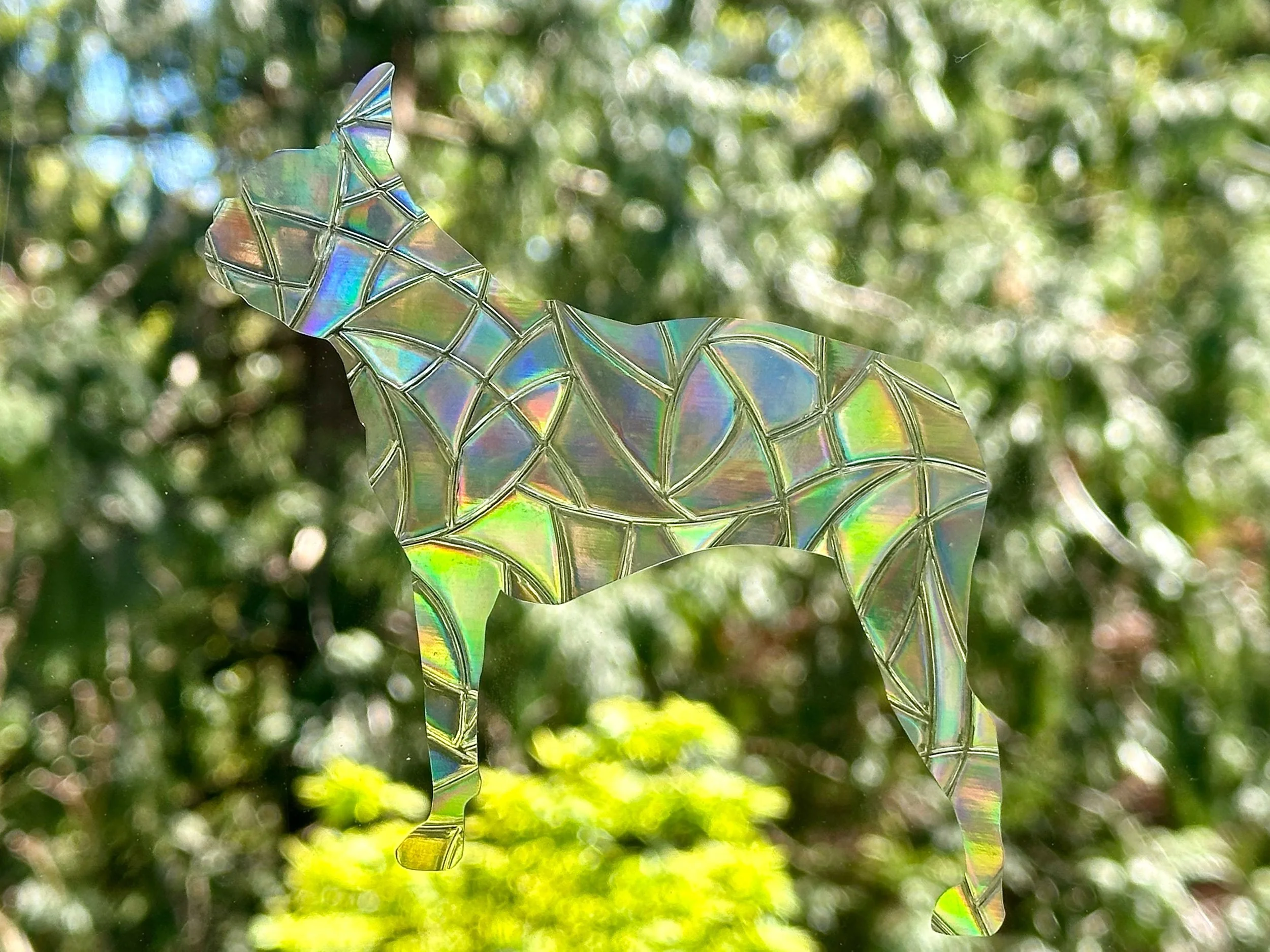 42C80F81-8807-4920-84C0-0C85F67D34EF