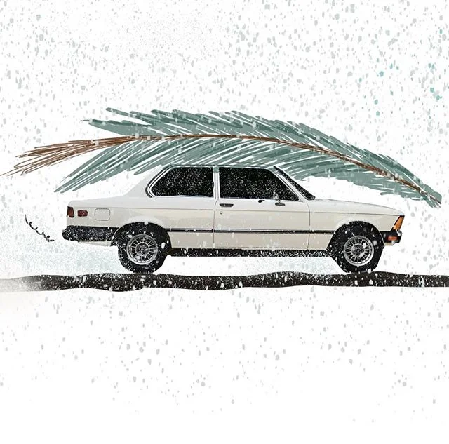 What we have here is 1977 BMW with a scragly looking Christmas tree on top. Even sad looking Christmas trees look better with a few ornaments!