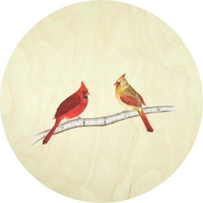 Cardinals *SOLD*