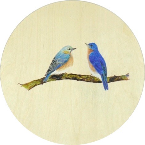 circle-cropped (6).png