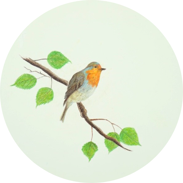 Robin on a branch *SOLD*