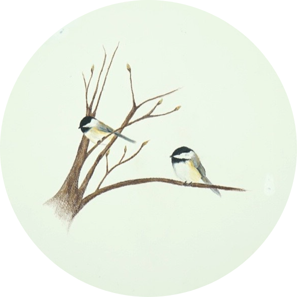 circle-cropped (8).png