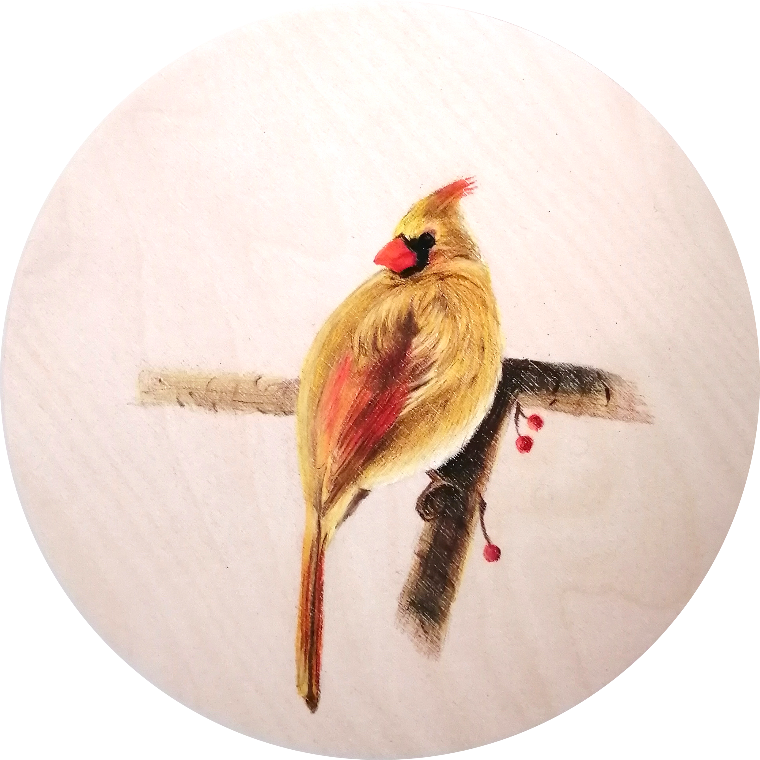 Female Cardinal *SOLD*