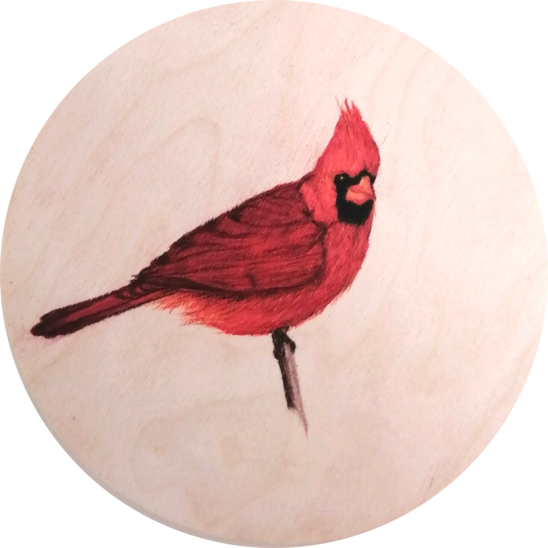 Cardinal *SOLD*