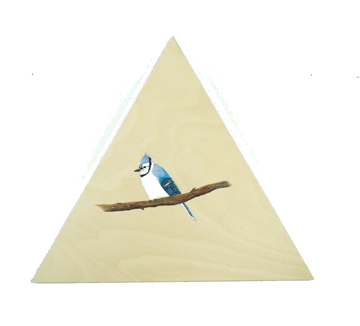 imageonline-co-transparentimage.png