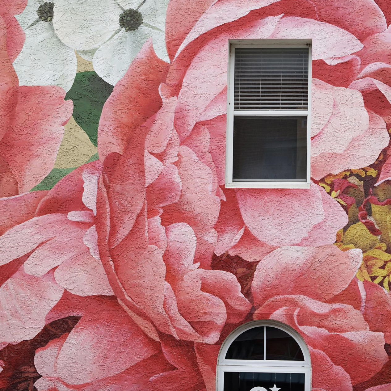 Screen Shot 2023-05-05 at 8.22.16 AM.png