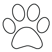white.png