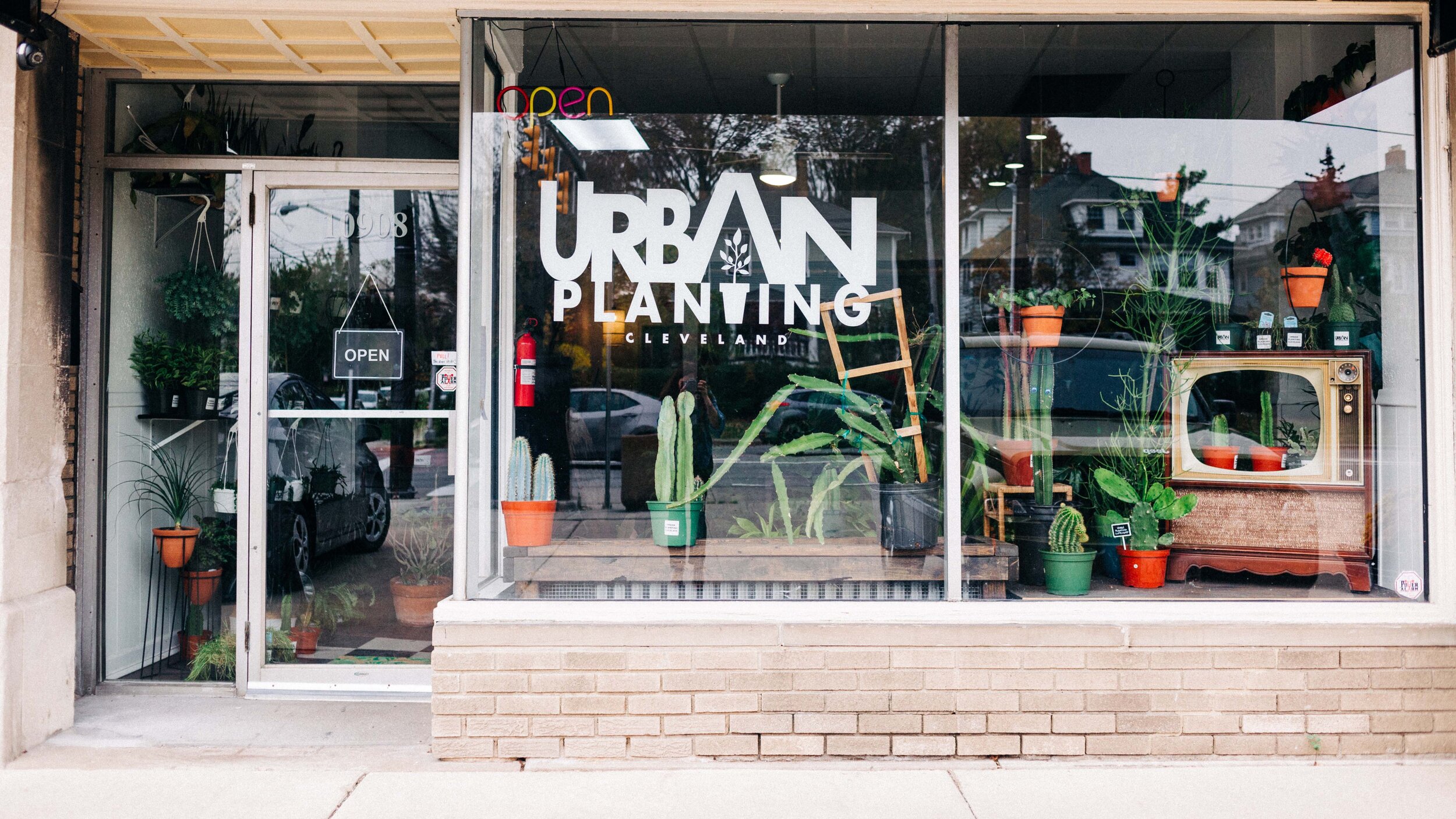 Pink Sprinkle Pot — Urban Planting Cleveland
