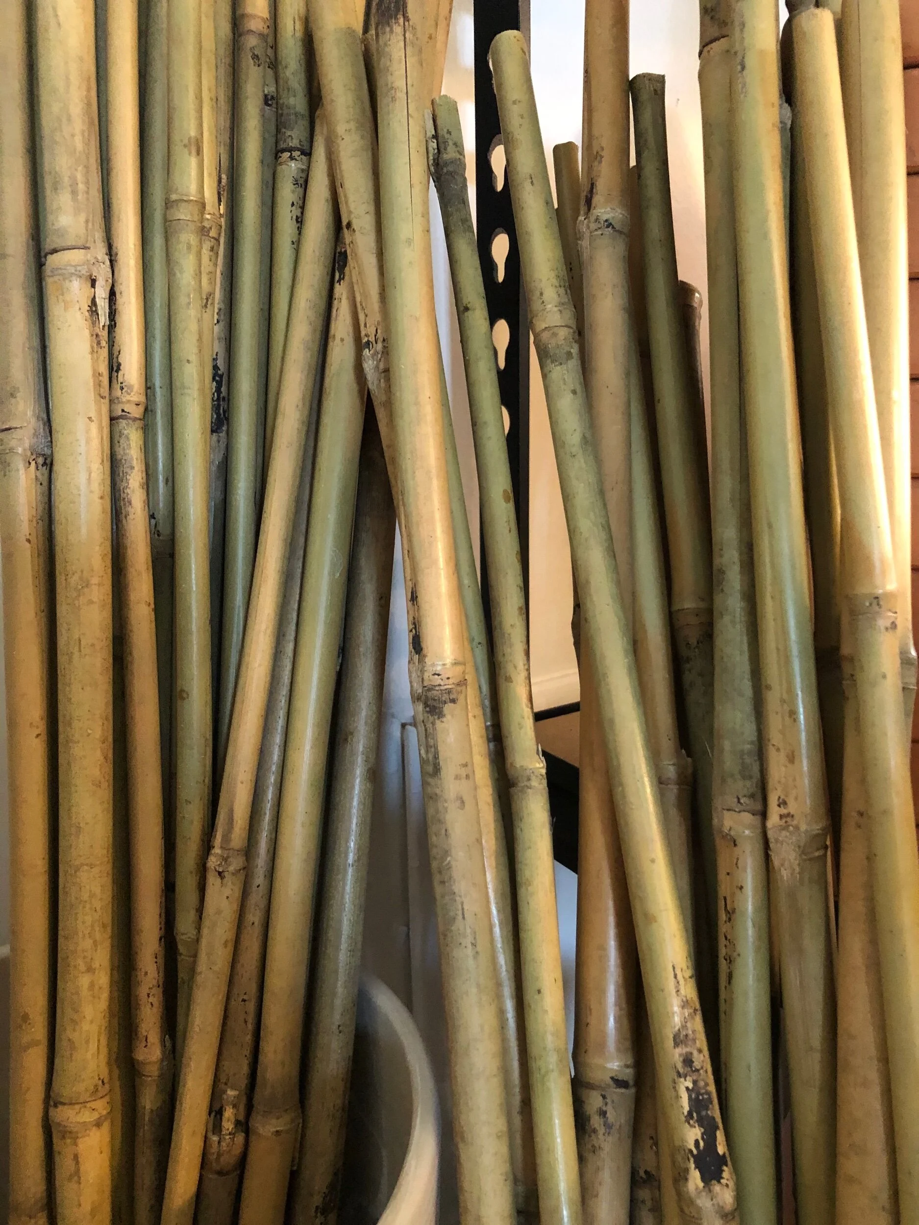 C9F329FE-3706-498B-A5BC-4C95EF75D9A1