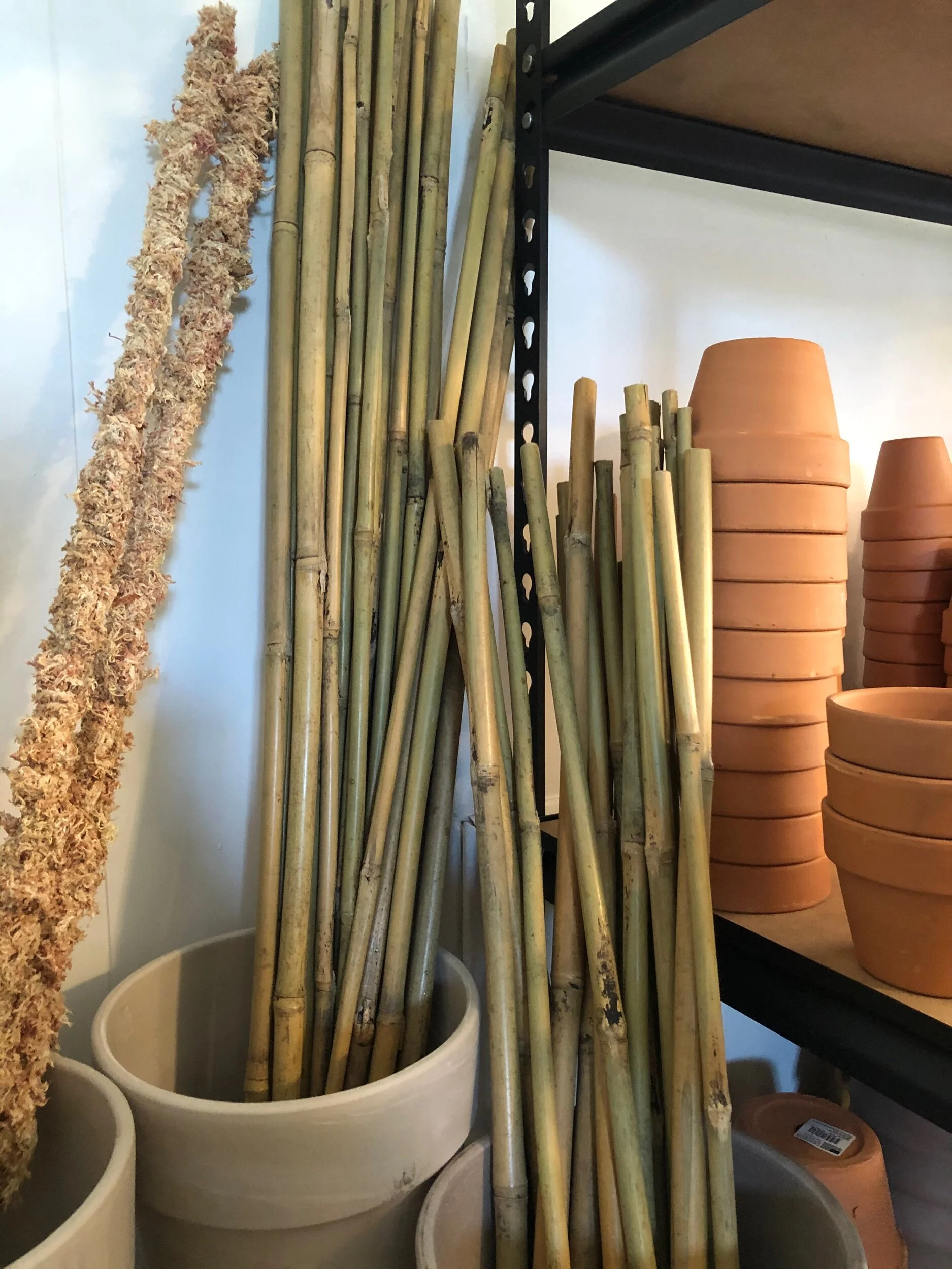 2DAFB323-1F54-47B7-A6C5-E42E4F32F37B