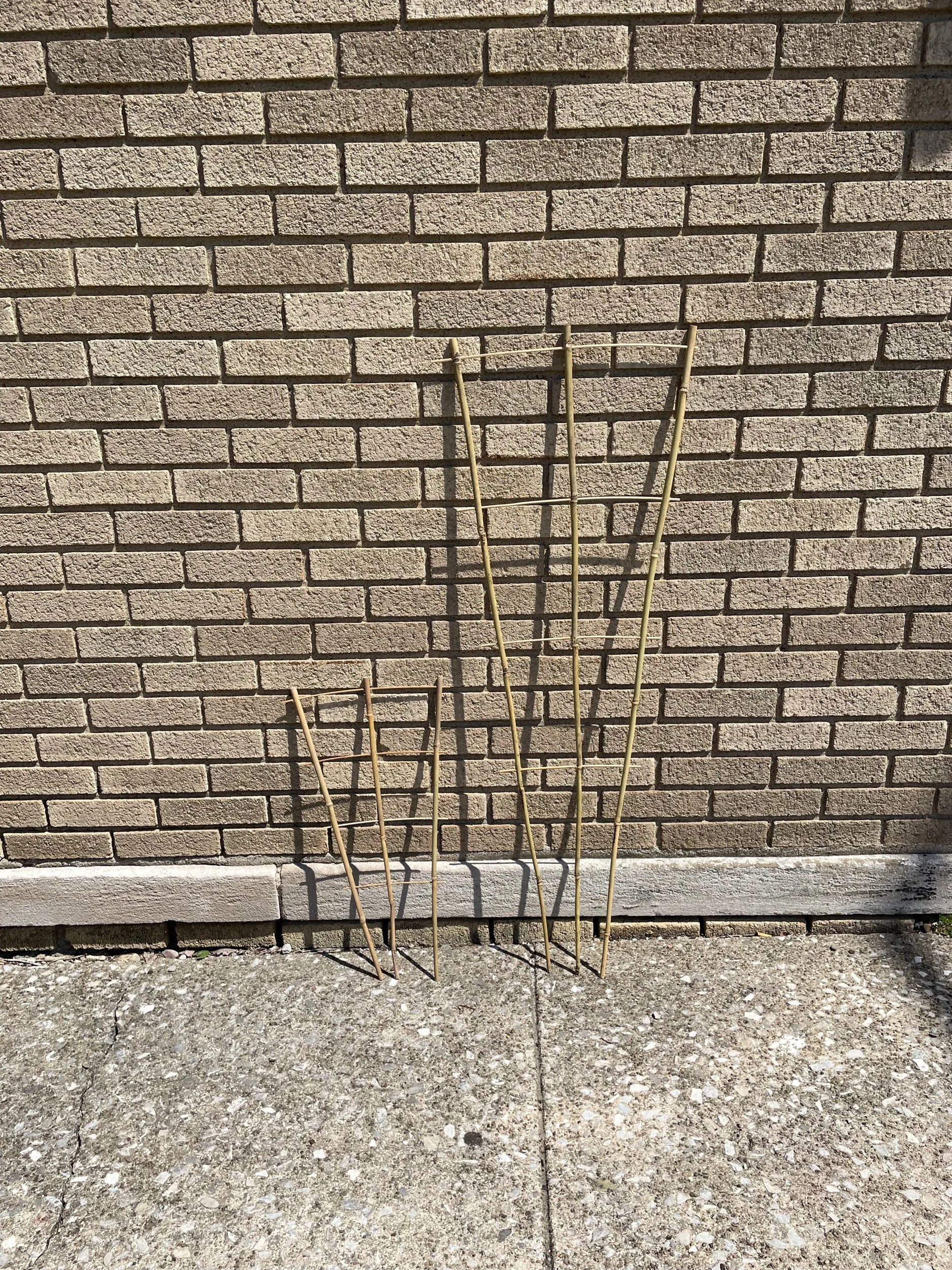 E4A8D01D-438C-40FA-9CB8-113C46E14F48