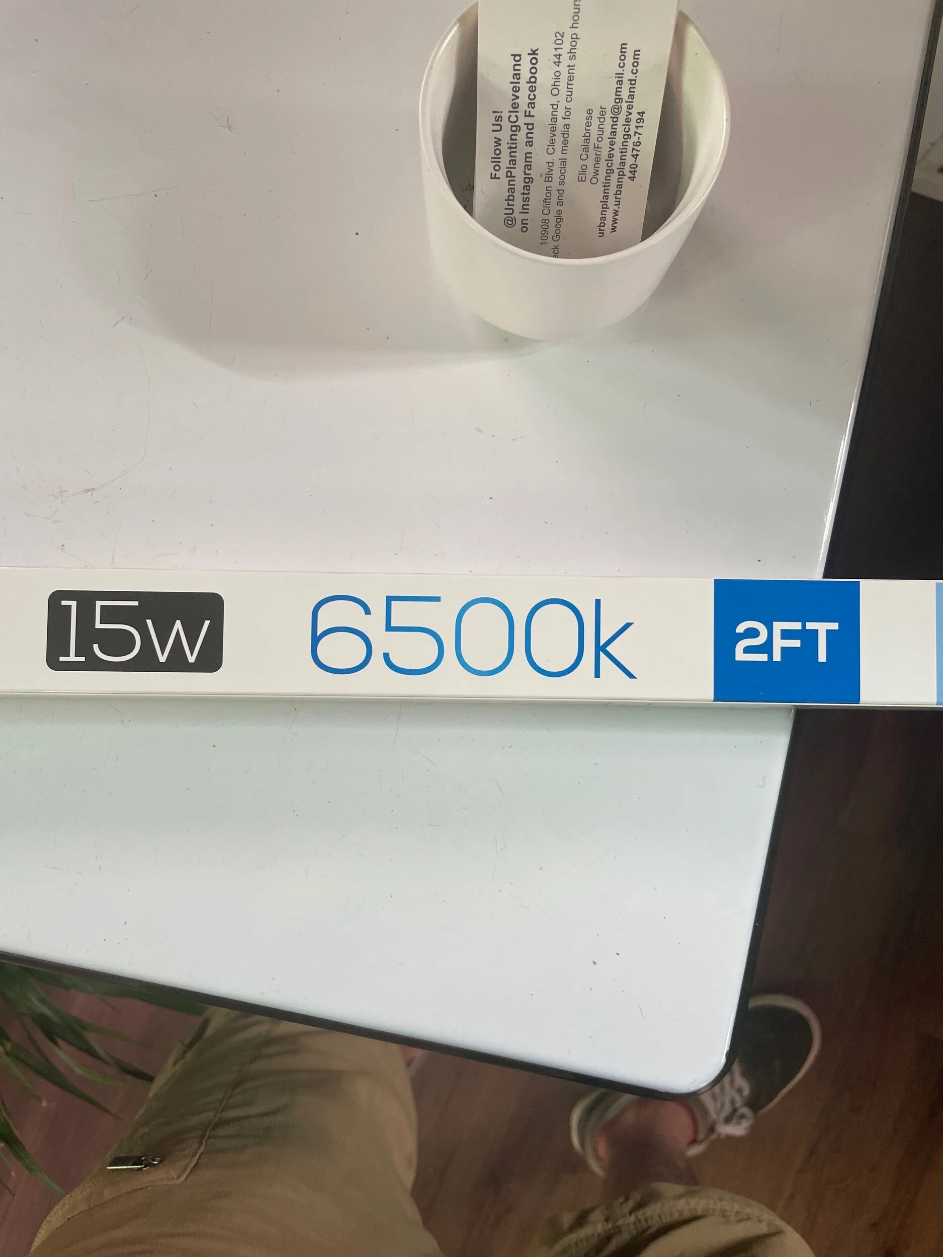 CA75DE19-D860-4CC2-A078-CEACA1406DB3