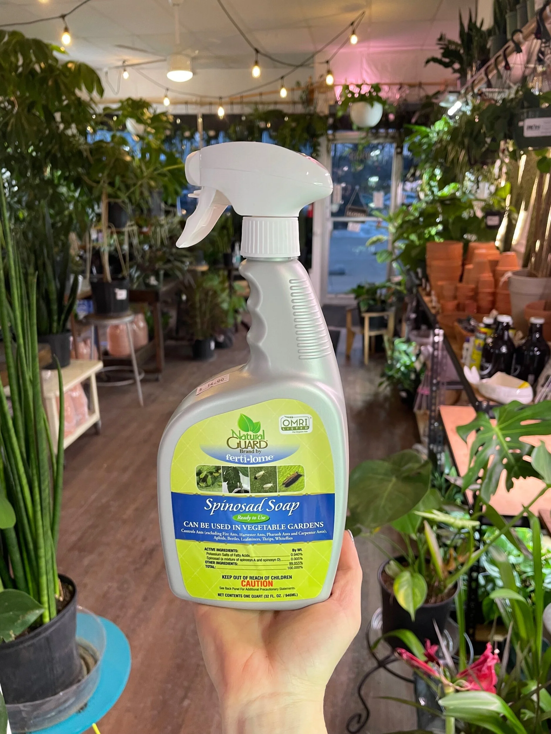 B4398C94-F255-473D-B74A-70A6FC85DA00