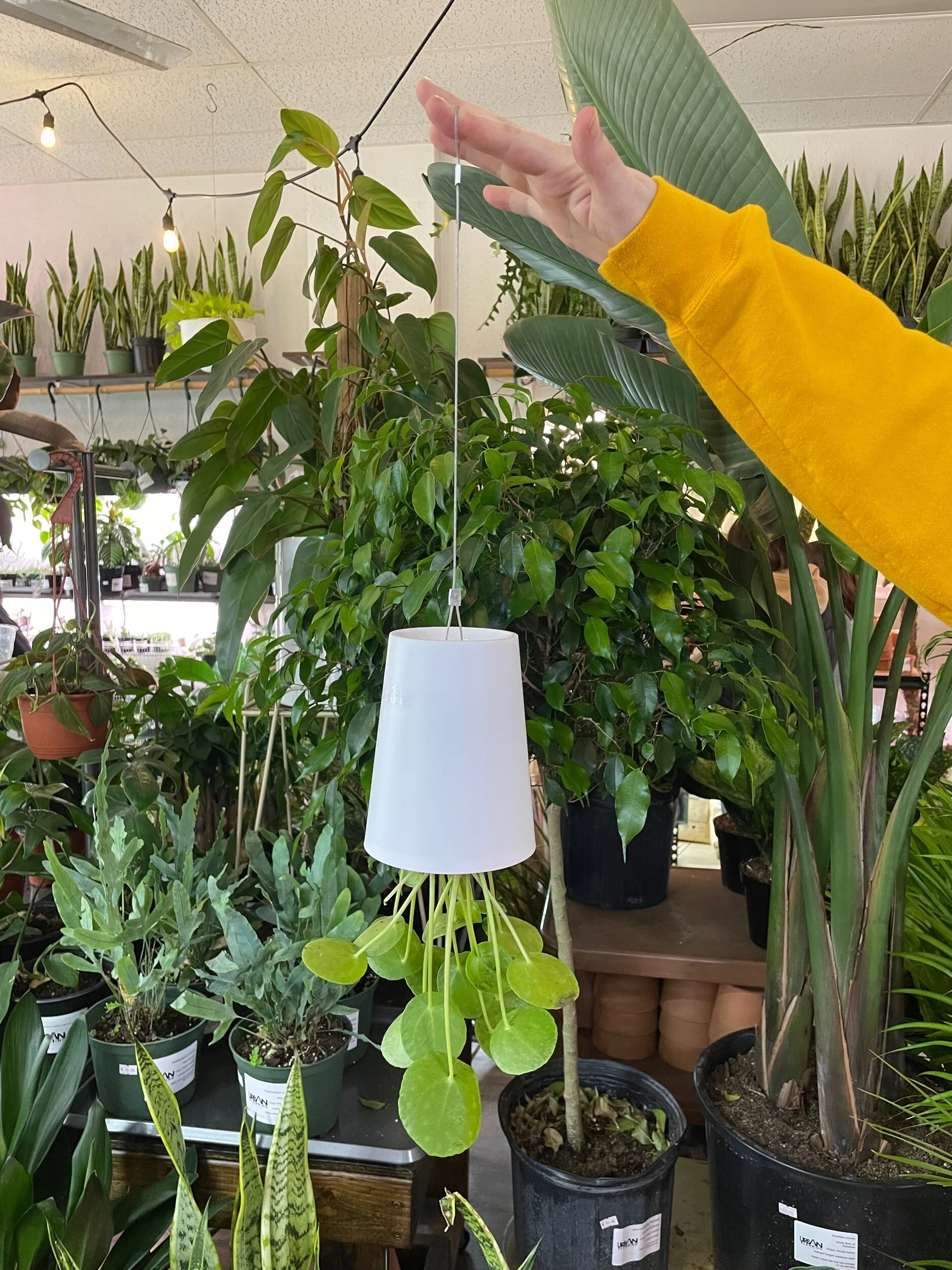 FF886987-8235-4E41-84A7-BD4AF1C62AC7