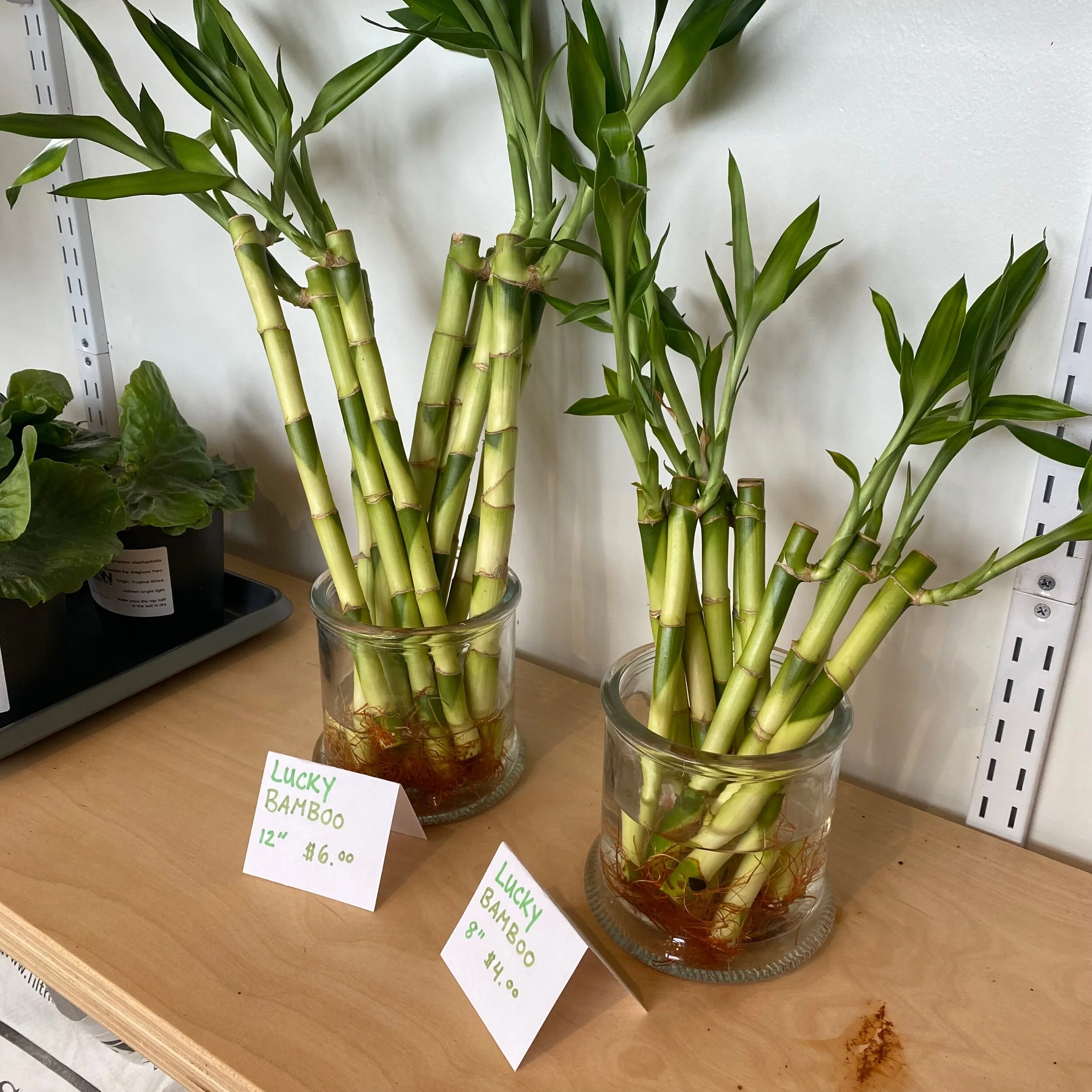 E0D180AF-2520-472B-825E-174C1B8D230C