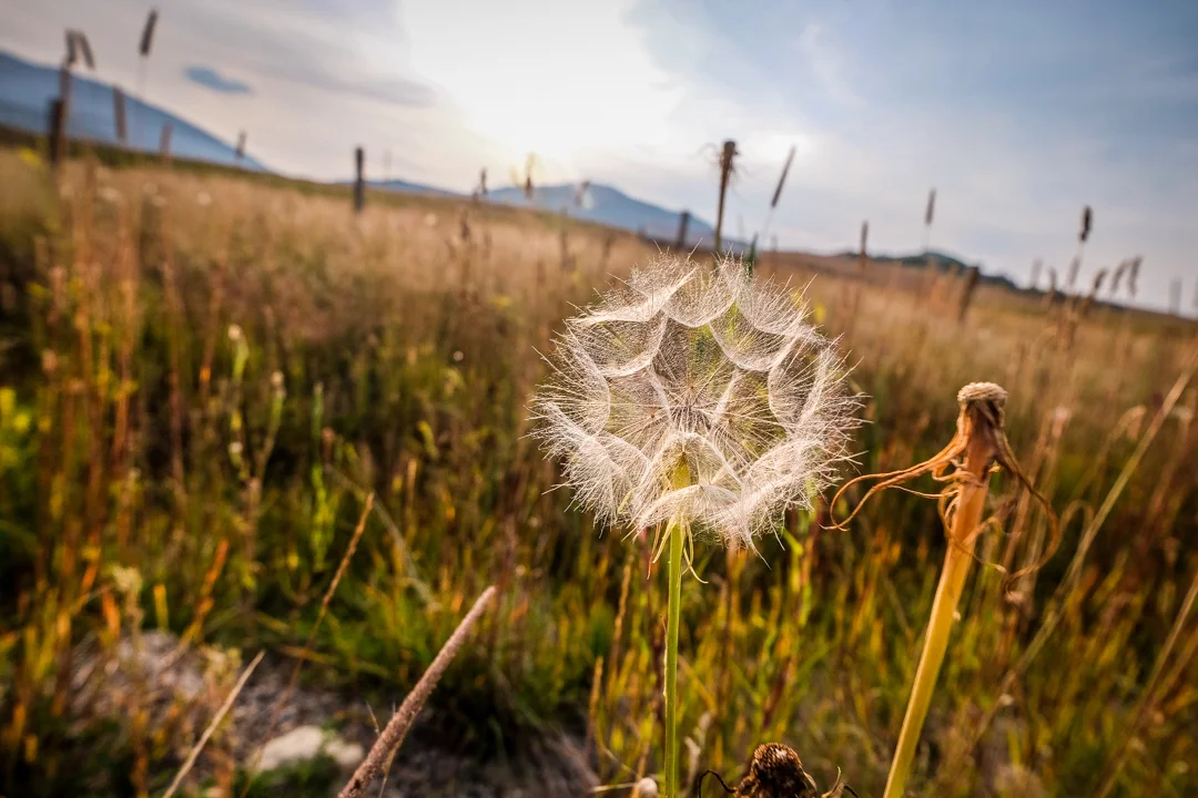 COLORADO_SOJOURN_018.jpg
