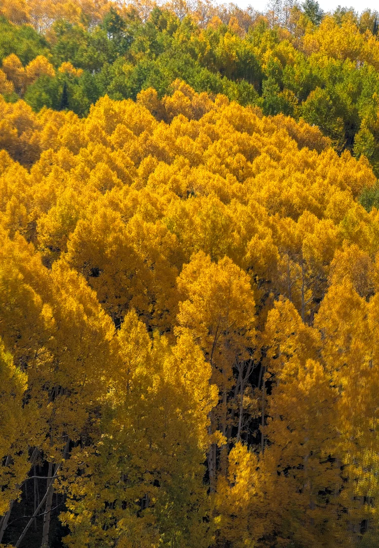 COLORADO_SOJOURN_021.jpg
