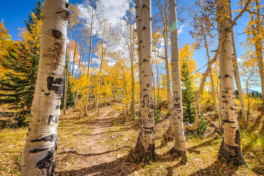 COLORADO_SOJOURN_040.jpg