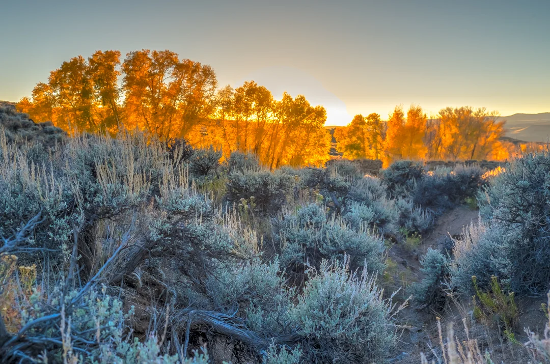 COLORADO_SOJOURN_046.jpg