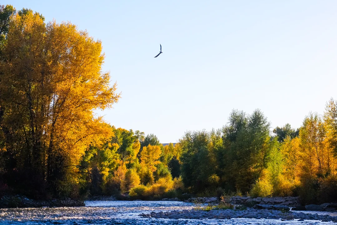 COLORADO_SOJOURN_116.jpg