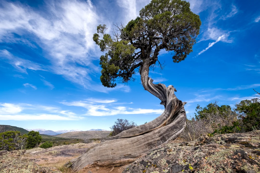 COLORADO_SOJOURN_126.jpg