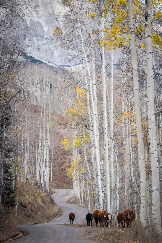 COLORADO_SOJOURN_154.jpg