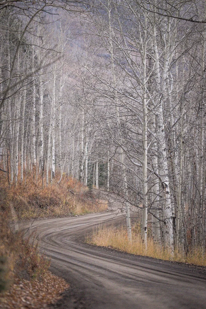 COLORADO_SOJOURN_164.jpg