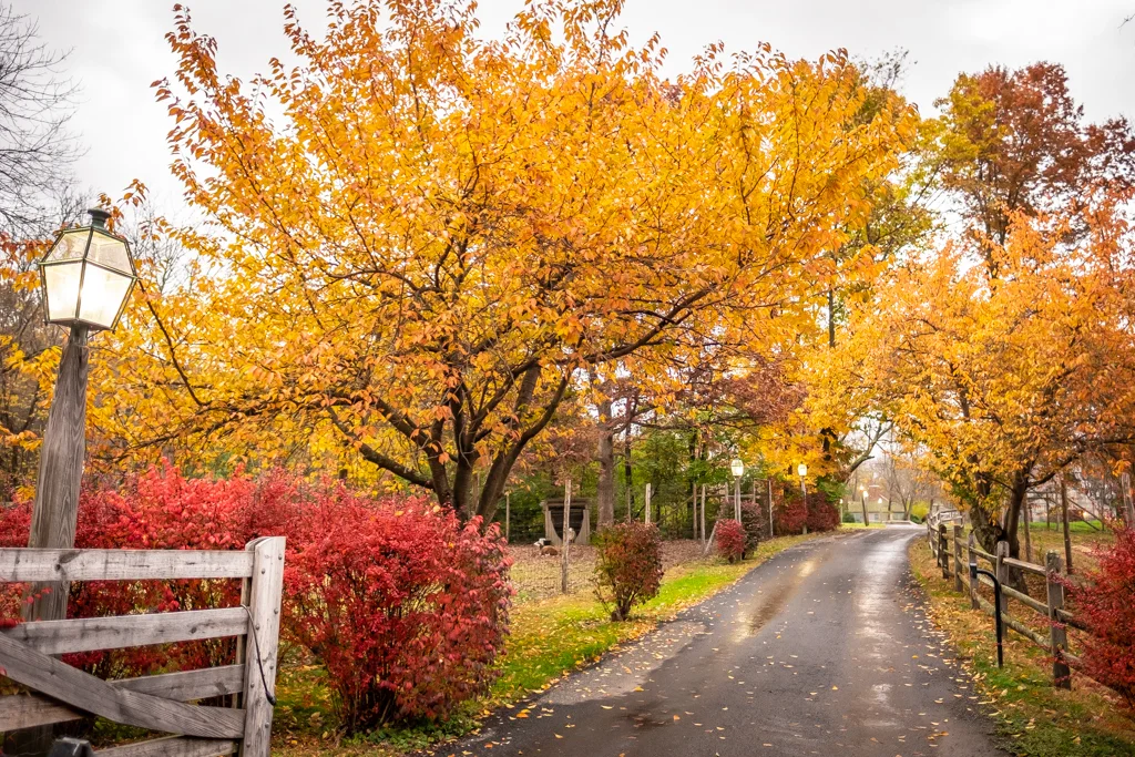 Waterloo Village | Stanhope, NJ